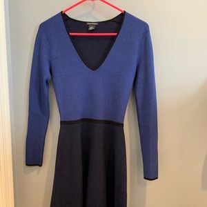 Club Monaco sweater skater dress